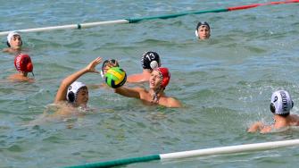 Coni Bardolino 112