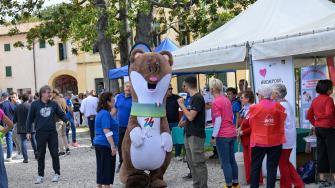 Coni Bardolino 123