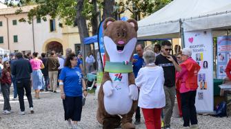 Coni Bardolino 124
