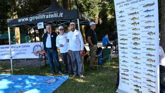 Coni Bardolino 16
