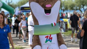 Coni Bardolino 174