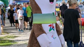 Coni Bardolino 175