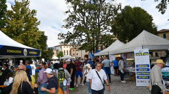 Coni Bardolino 241