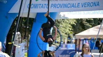 Coni Bardolino 51