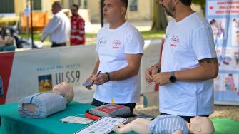Coni Bardolino 79