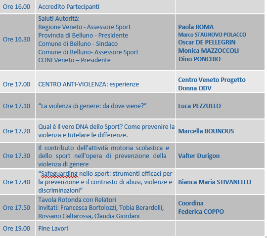 Belluni_incontro.jpeg
